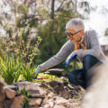 Tips for Reducing Allergens and Pollutants in Your Yard