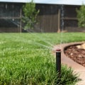 Types of Services Offered by Lawn Care Companies: A Complete Guide