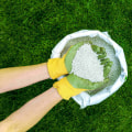 Types of Lawn Fertilizers: A Comprehensive Guide