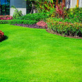 Choosing the Right Grass Seed for Your Lawn: A Comprehensive Guide to Lawn Maintenance Services