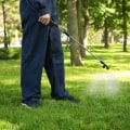 Understanding the Cost of Lawn Care Services