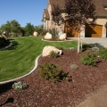 Fall Lawn Maintenance Tips: Keep Your Lawn Healthy All Year