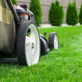 How to Keep Your Lawn Healthy: The Ultimate Guide to Proper Mowing