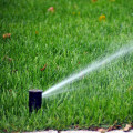 How a Healthy Lawn Can Save You Money on Water Bills