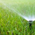The Best Time of Day to Water Your Lawn