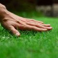 Reducing Your Carbon Footprint with Sustainable Lawn Care: Tips and Techniques for a Greener Lawn