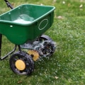When and How to Fertilize Your Lawn
