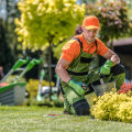 References and Testimonials from Previous Clients: The Key to Choosing a Reliable Lawn Care Company