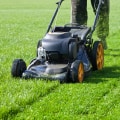 How Often Should You Mow Your Lawn?