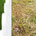 Avoiding Overwatering and Underwatering: Tips for Maintaining a Healthy Lawn