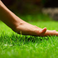 Spring Cleaning and Preparing for Summer Growth: Tips for a Healthy Lawn