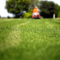 Reading Reviews and Evaluating Reputation: A Comprehensive Guide for Choosing a Professional Lawn Care Company
