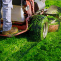 Evaluating and Comparing Reviews for Lawn Mowing Services