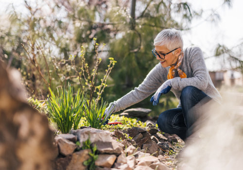 Tips for Reducing Allergens and Pollutants in Your Yard
