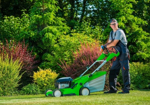 What to Look for in a Lawn Care Company