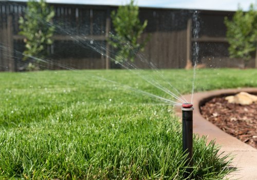 Types of Services Offered by Lawn Care Companies: A Complete Guide