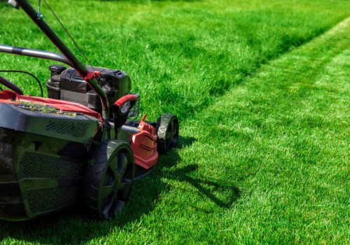 The Importance of Hiring a Licensed Lawn Care Company