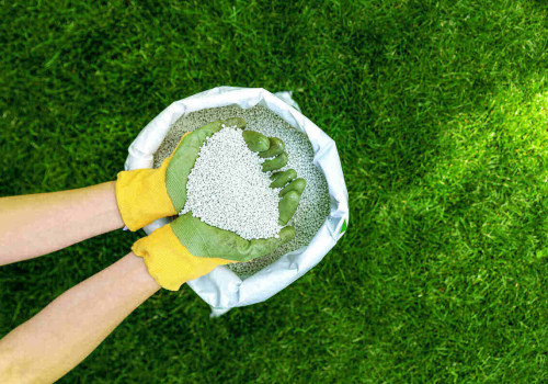 Types of Lawn Fertilizers: A Comprehensive Guide