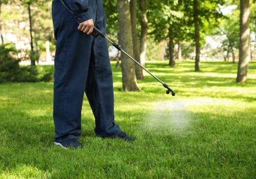 Understanding the Cost of Lawn Care Services