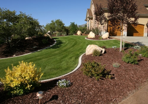 Fall Lawn Maintenance Tips: Keep Your Lawn Healthy All Year