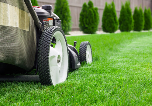 How to Keep Your Lawn Healthy: The Ultimate Guide to Proper Mowing