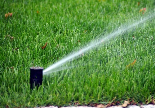 How a Healthy Lawn Can Save You Money on Water Bills