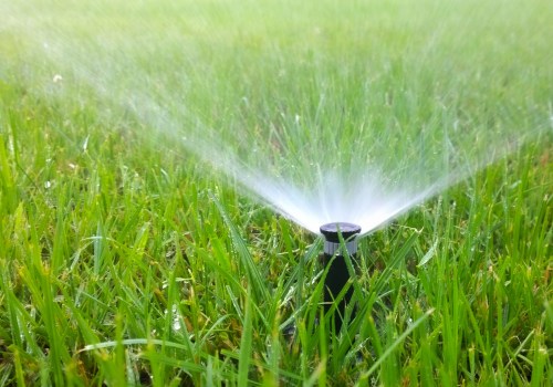 The Best Time of Day to Water Your Lawn