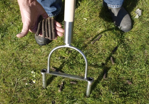 Why Aeration is Essential for a Healthy Lawn