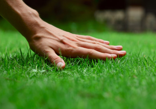 Reducing Your Carbon Footprint with Sustainable Lawn Care: Tips and Techniques for a Greener Lawn