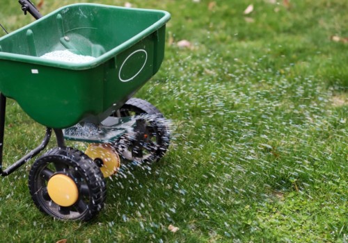 When and How to Fertilize Your Lawn