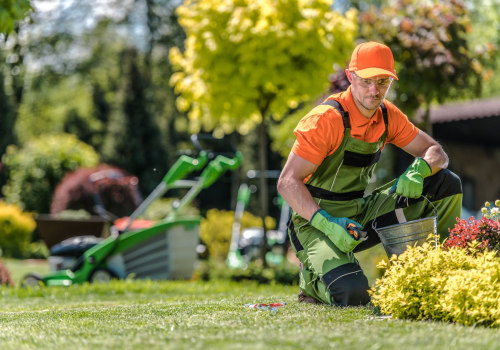 References and Testimonials from Previous Clients: The Key to Choosing a Reliable Lawn Care Company