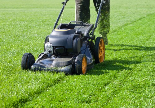 How Often Should You Mow Your Lawn?