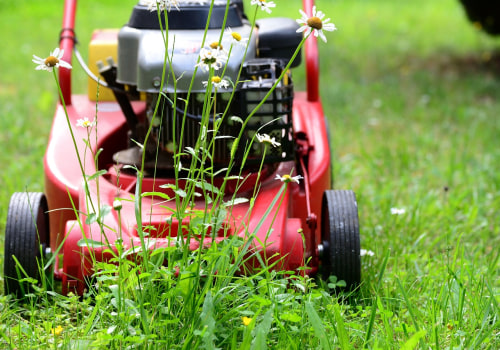 The Importance of Regular Maintenance for a Beautiful Lawn