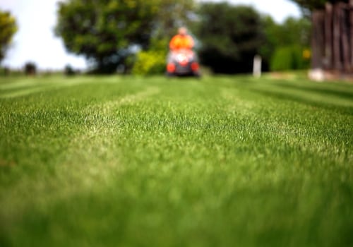 Reading Reviews and Evaluating Reputation: A Comprehensive Guide for Choosing a Professional Lawn Care Company