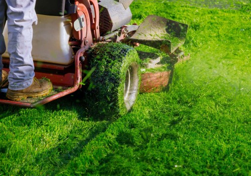 Evaluating and Comparing Reviews for Lawn Mowing Services